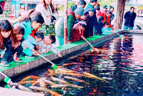 橋上的房子|重慶「橋上小鎮」，早晨打開窗戶就能釣魚，堪稱釣友天堂